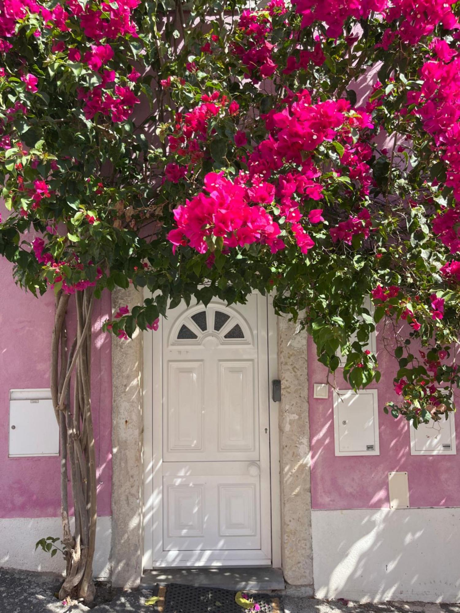 Апартаменти Casa Cor De Rosa Лісабон Екстер'єр фото
