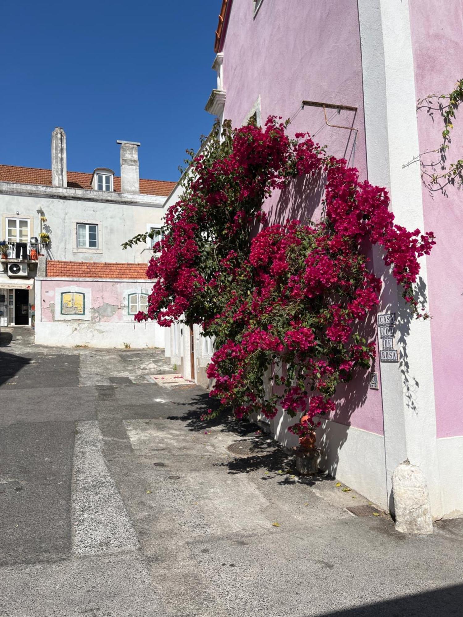 Апартаменти Casa Cor De Rosa Лісабон Екстер'єр фото