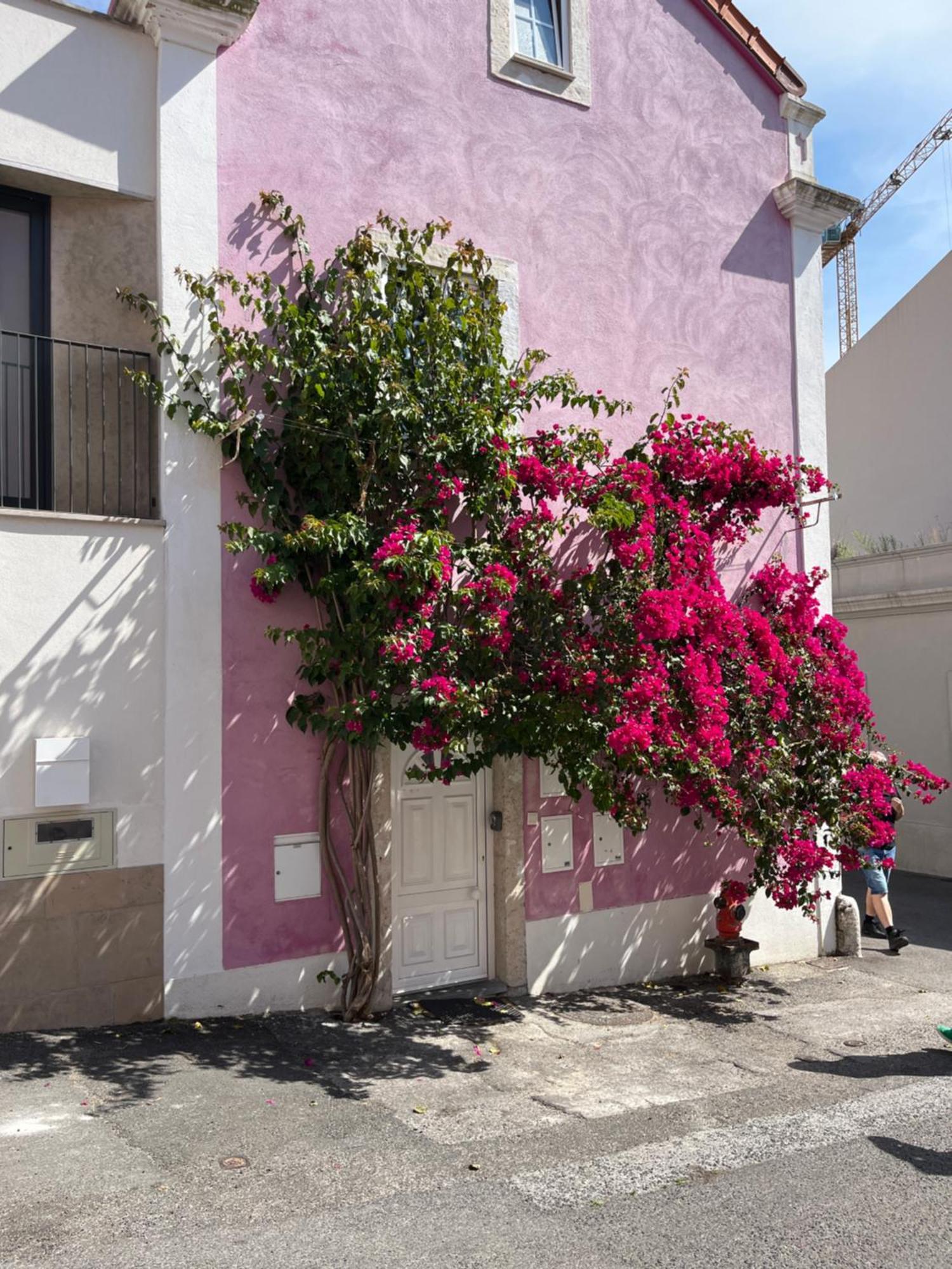 Апартаменти Casa Cor De Rosa Лісабон Екстер'єр фото